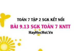 Bài 9.13 SGK Toán 7 Tập 2 Kết nối tri thức
